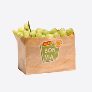 Sac en carton - 1kg