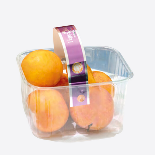 Barquette plastique pour agrumes avec bandeau étiquette, solution d’emballage pour export et import de fruits frais