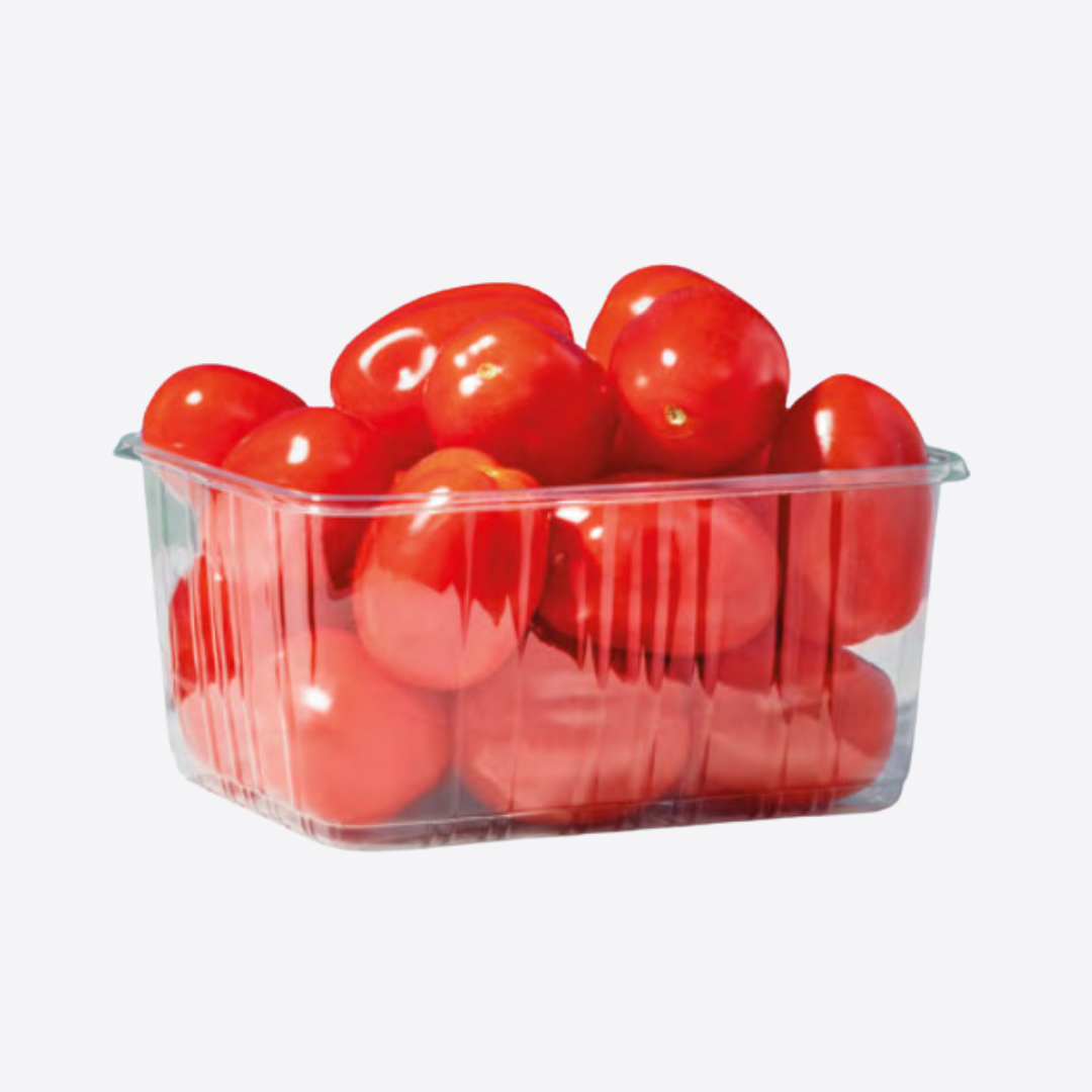 Barquette plastique transparente pour tomates allongées, packaging adapté au transport et à l’export import de produits frais